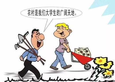 考公、考研難度高，應(yīng)屆生你還有4種選擇