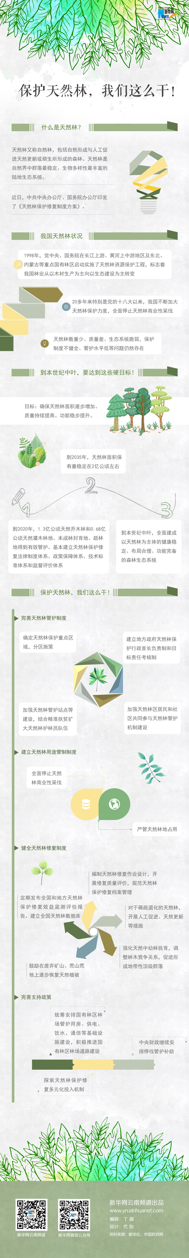 2020年國家公務(wù)員考試時政：保護(hù)天然林，我們這么干！